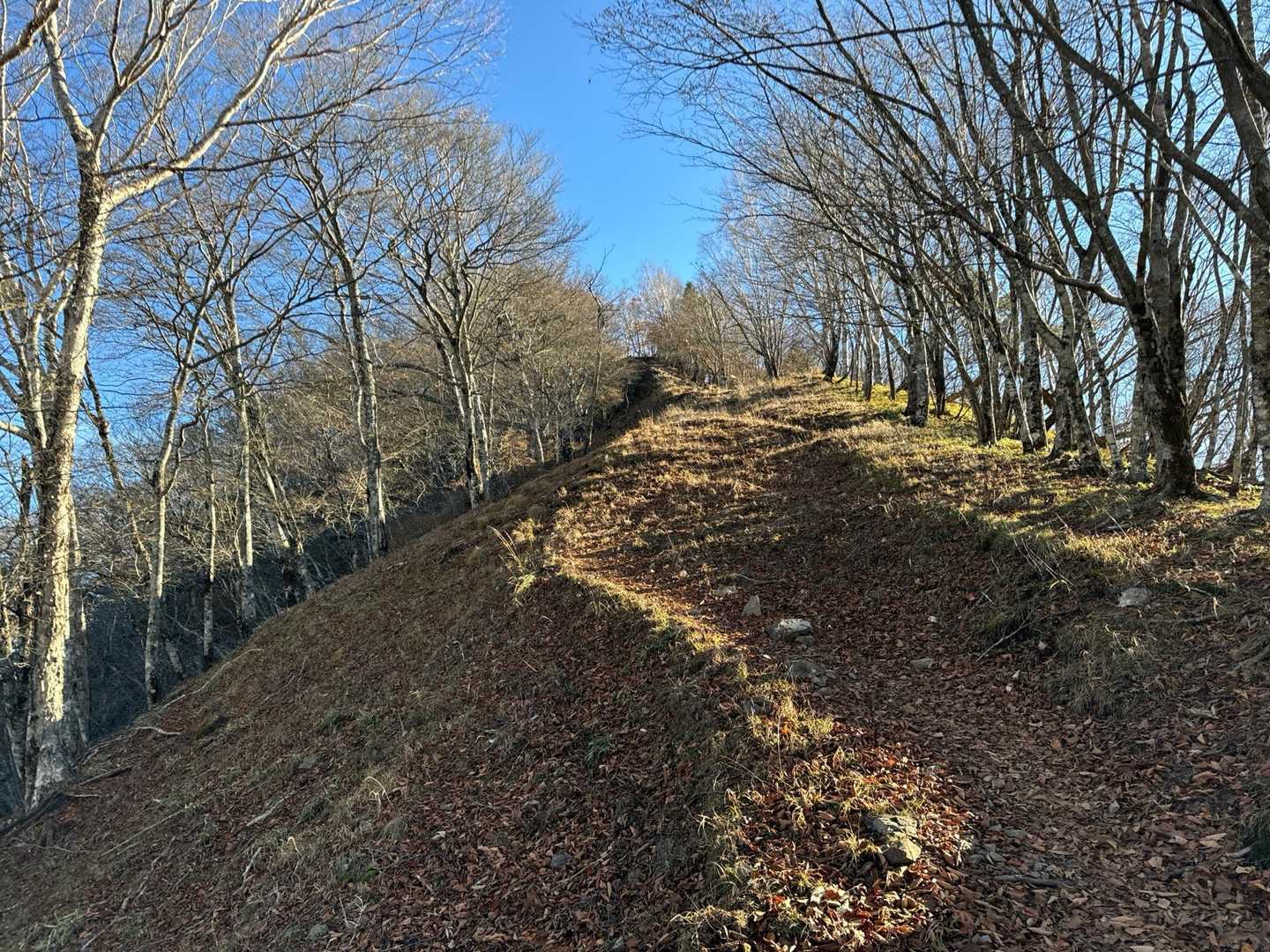 石尾根は遮るものがなく、風が当たって寒いので、途中でフリース着込みました。