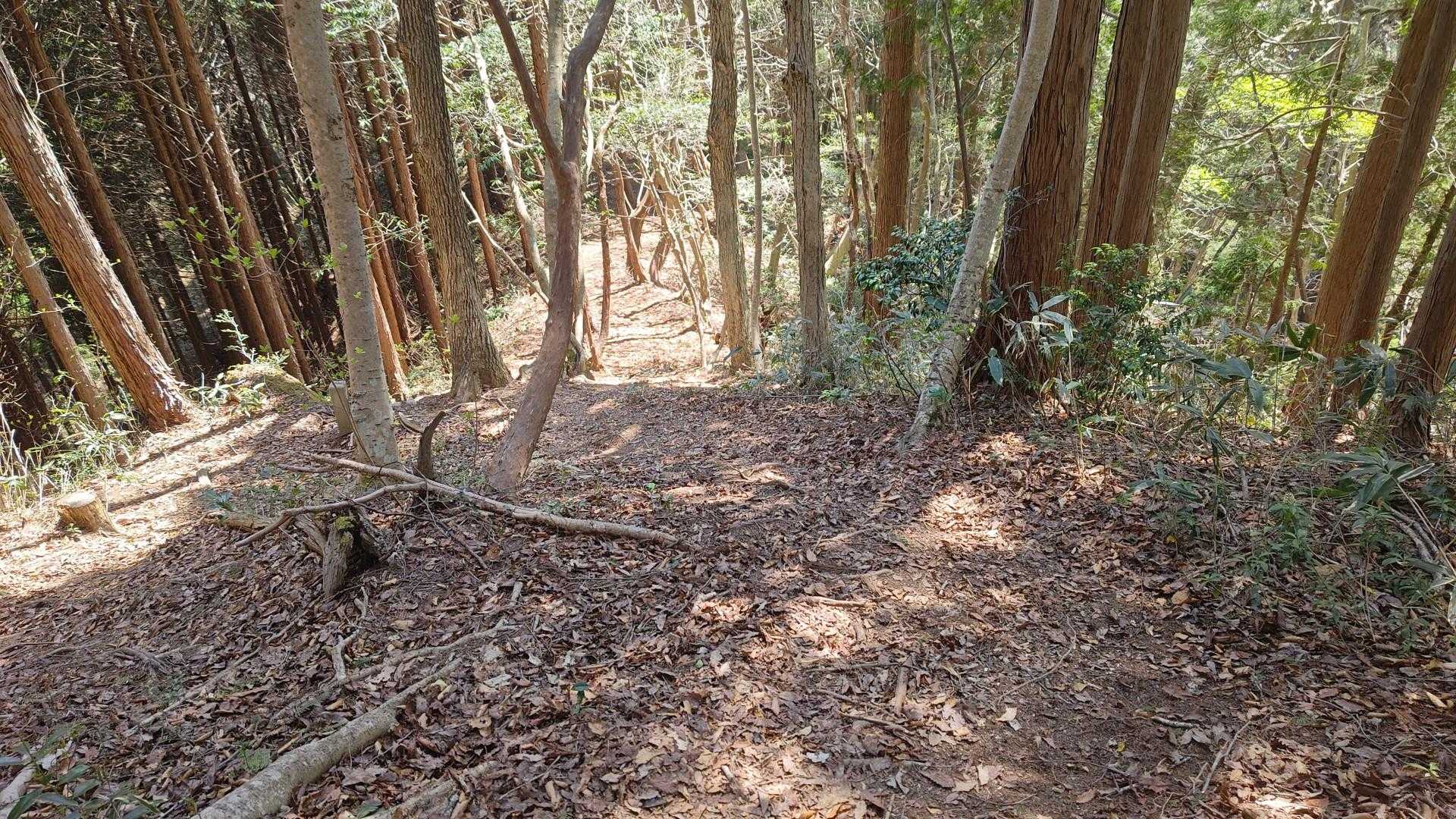 下山ルートはひたすら激下り💦