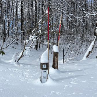 えっと…登山口ですよね…
誰も歩いてない？