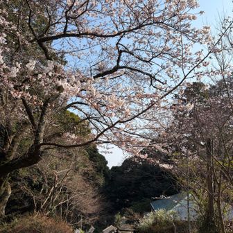 いい一日だった