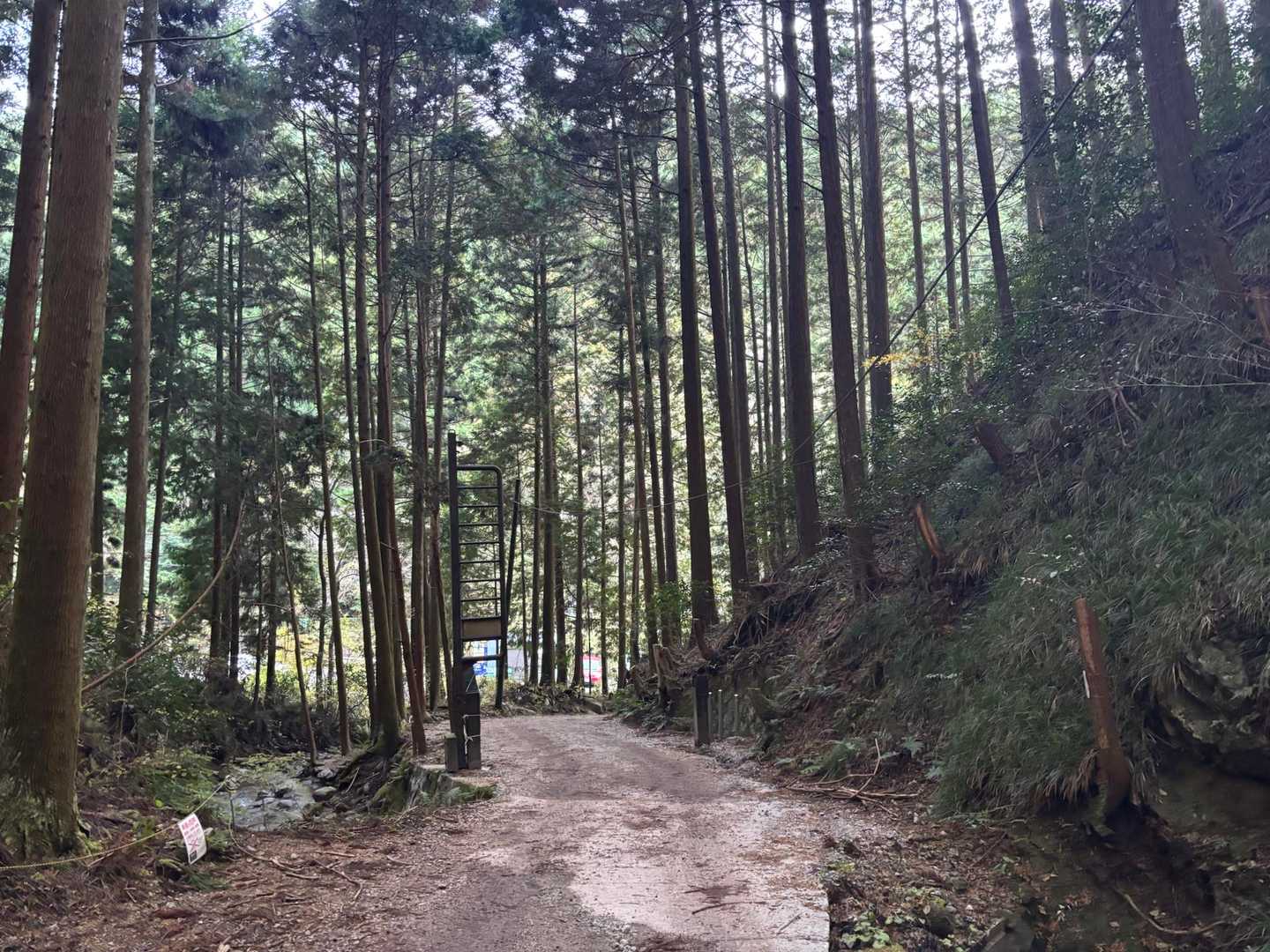 百ヶ辻登山口迄．無事に下山出来ました