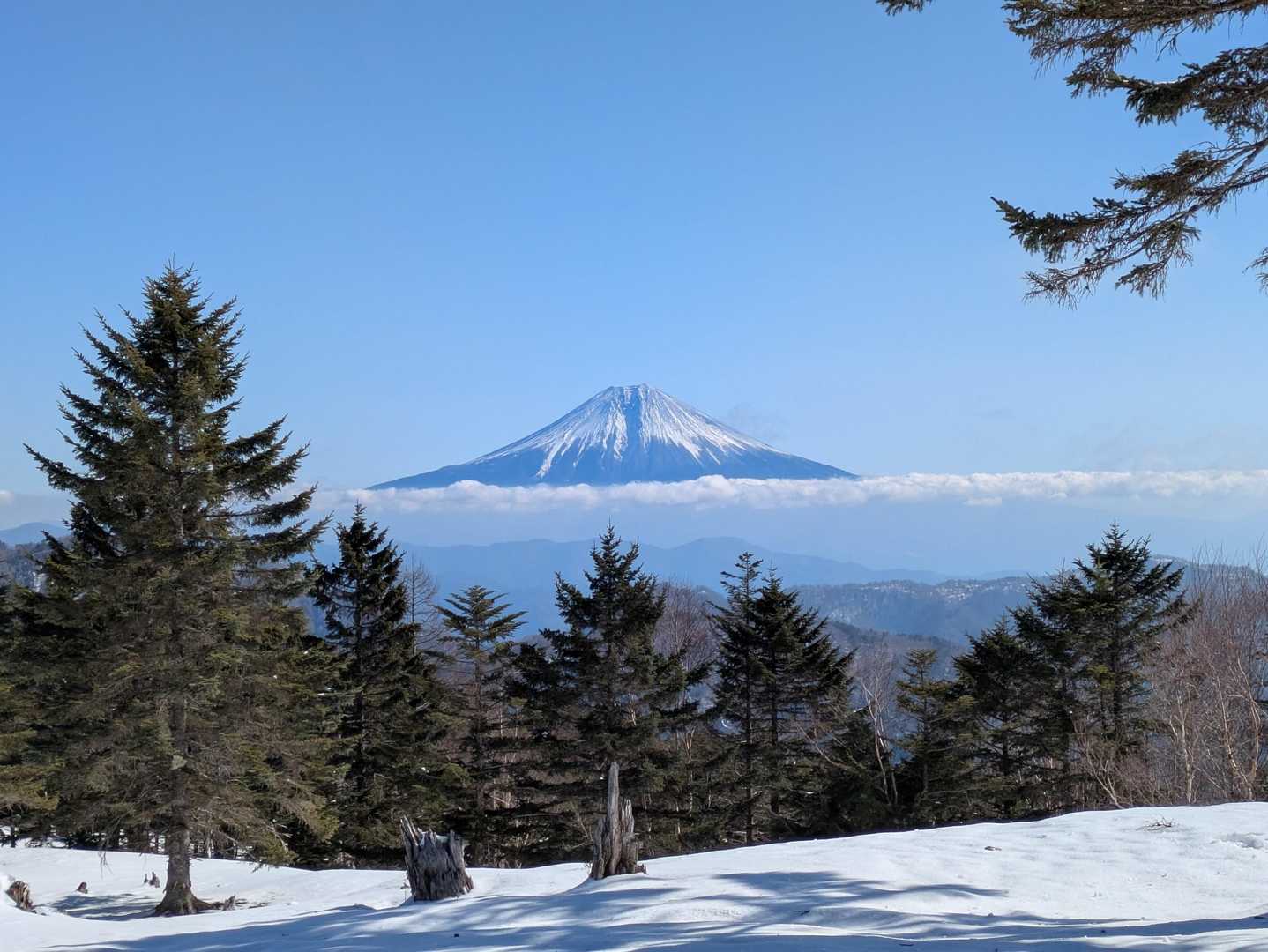 アップで
