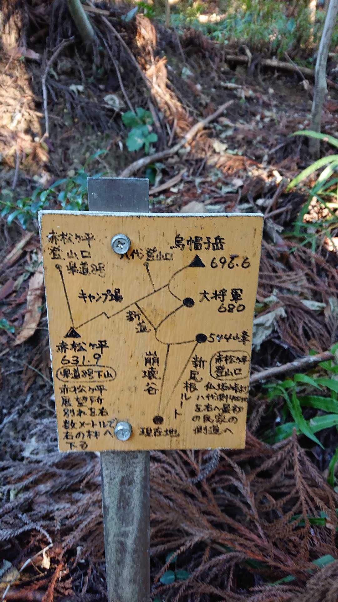悪い道を避けて、頂上を目指す‼️(帰り、崩落道を通ることになる。)
