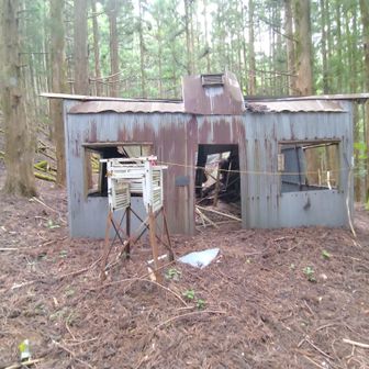旧造林小屋