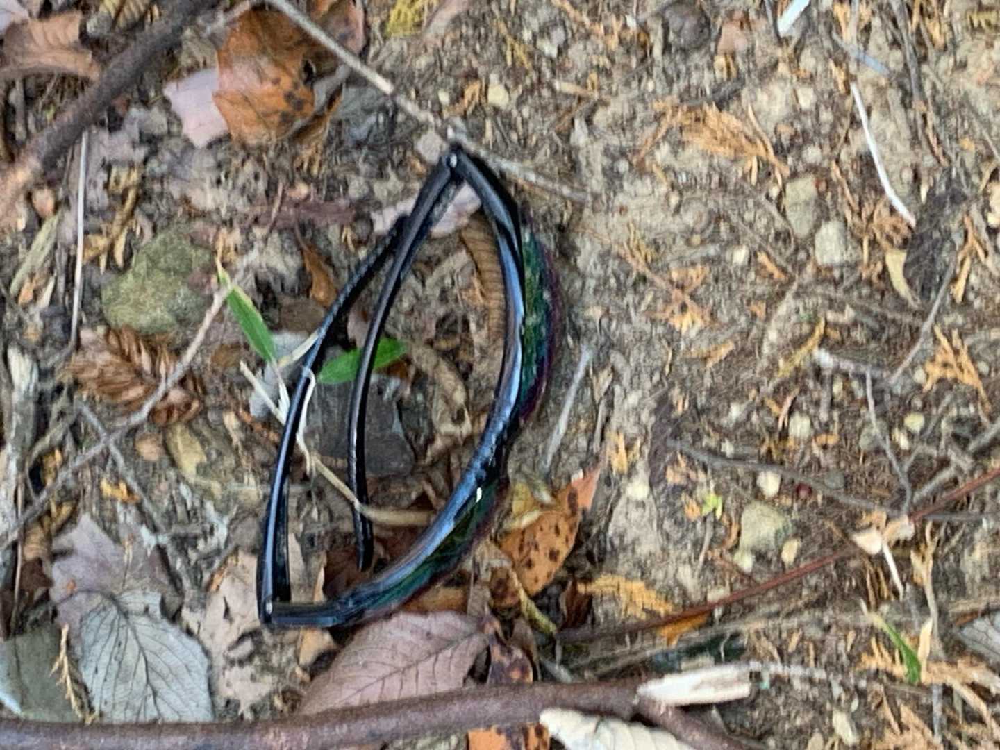 五輪山の忘れ物。サングラス🕶️です。