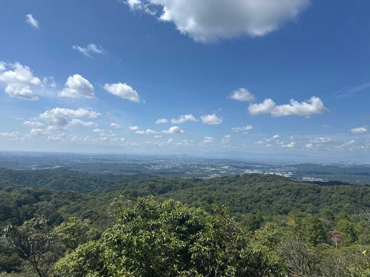 元岩巣山-岩巣山 往復コースの写真