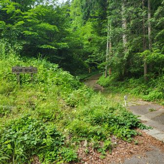 登山口