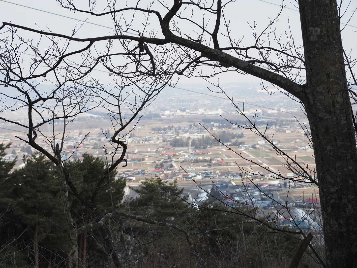 飯岡山 周回コースの写真