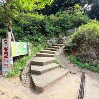 ココから登って行きます🎶