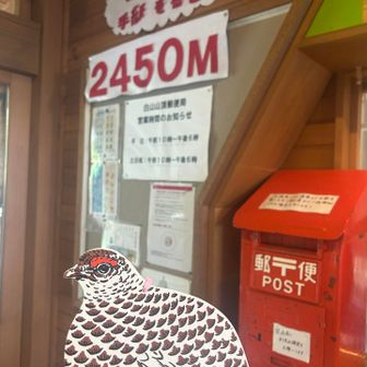 室堂の郵便局にて。7/21 誕生日だった長女に送ってみた。喜んでくれるかなー？