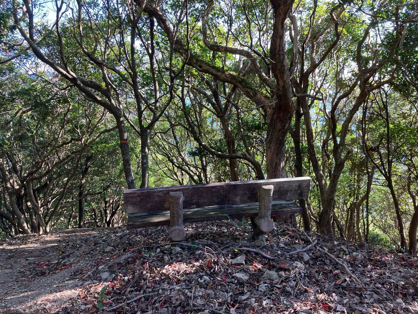 ベンチがあるけど、このベンチを設置したころは目の前に絶景が広がってたんだろうな。
樹木が成長して、今は海は見えません。