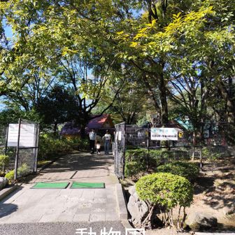 ふれあい動物園