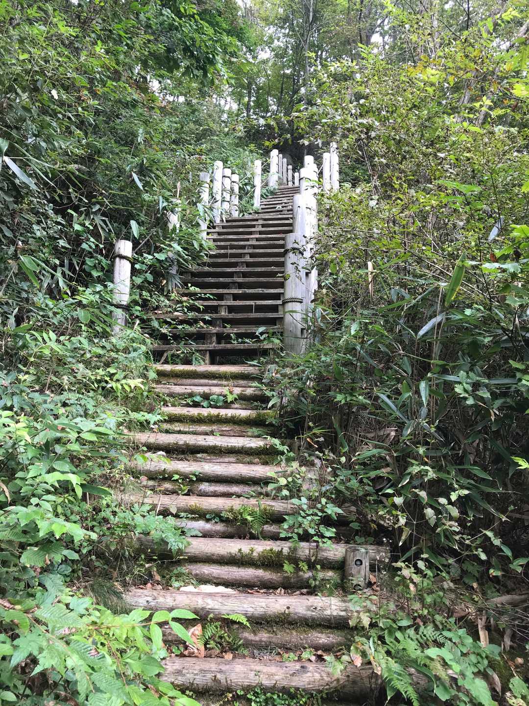 急階段を振り返ってみる。