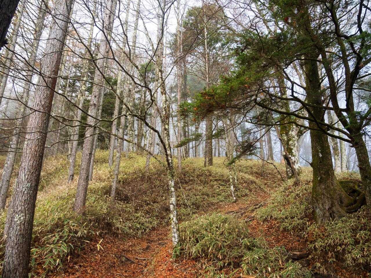 矢立石登山口-日向山｜日向山往復コースの写真