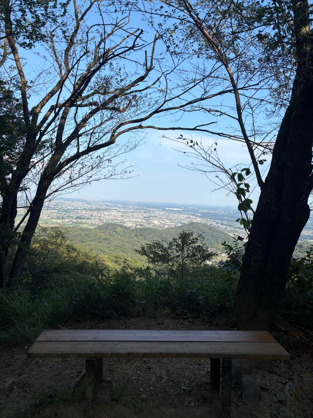 鐘撞堂山 往復コースの写真