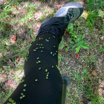 たくさんひっつき虫😭取るの大変でした
