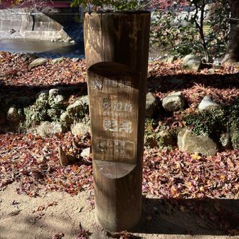 ここが中辺路の起点
500mごとにある道標、今日は7までいく。