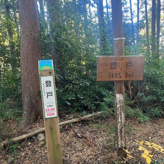 次のピークは登戸、小田急線の駅ノボリトではなくノボット