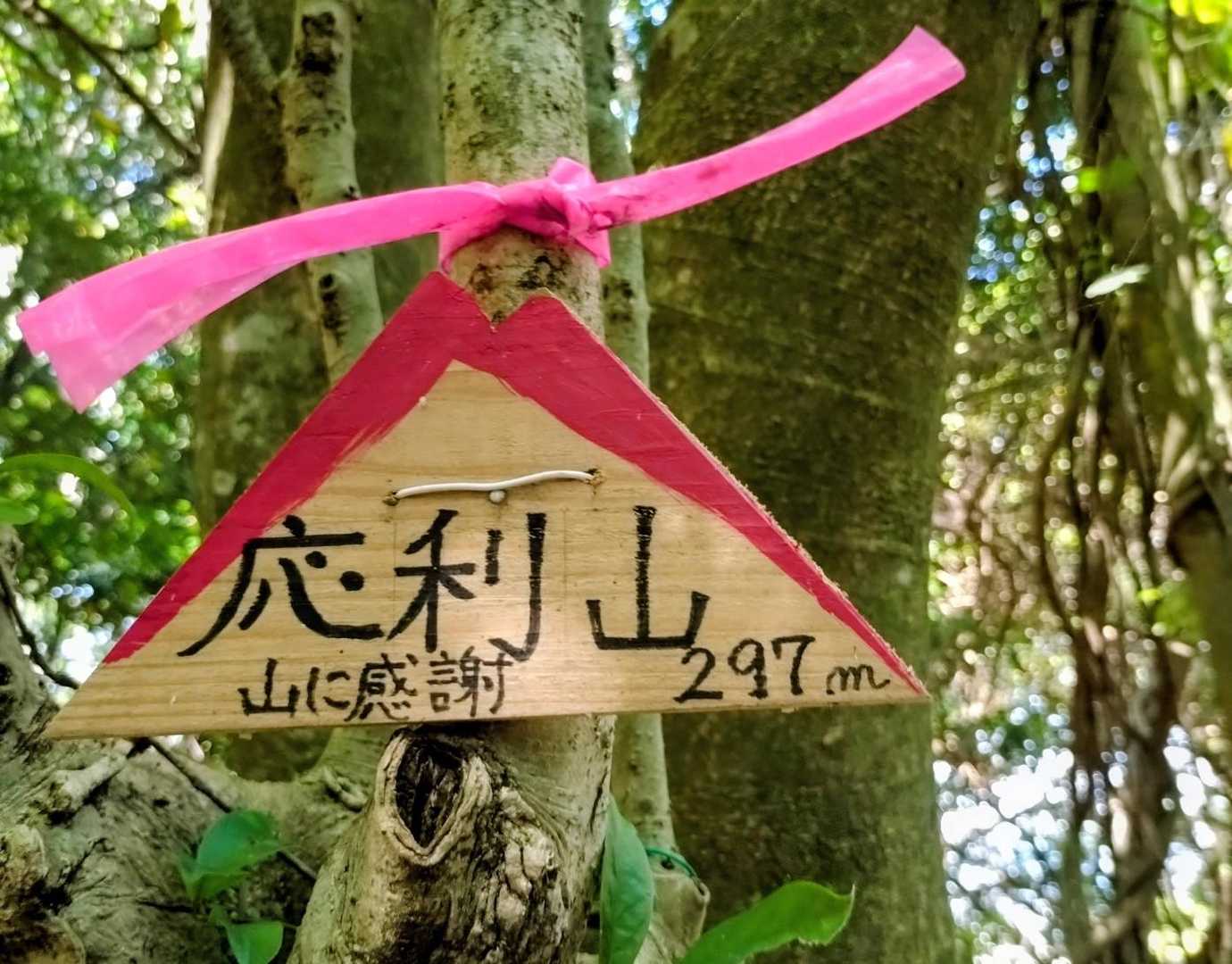 いつもの標識🤗