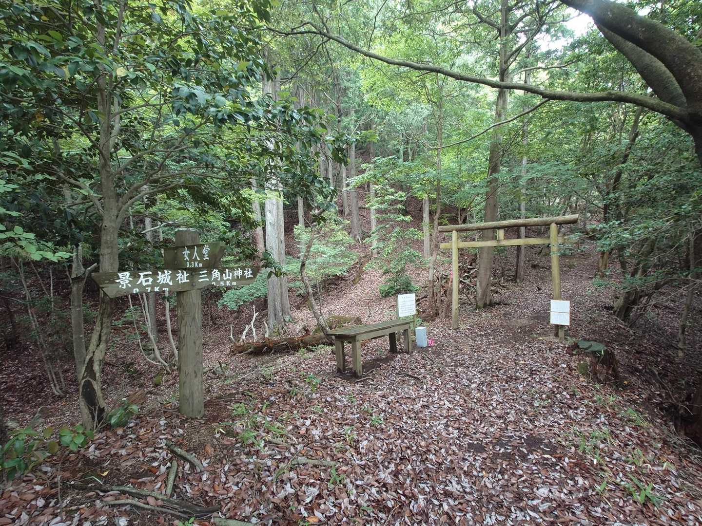 ここで1/3やて