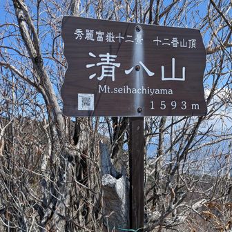 ほどなく清八山山頂に到着。12番ゲットだぜ（ポケモン取るの忘れた）