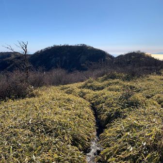 雪が溶けてドロドロ。
めちゃくちゃ滑る。