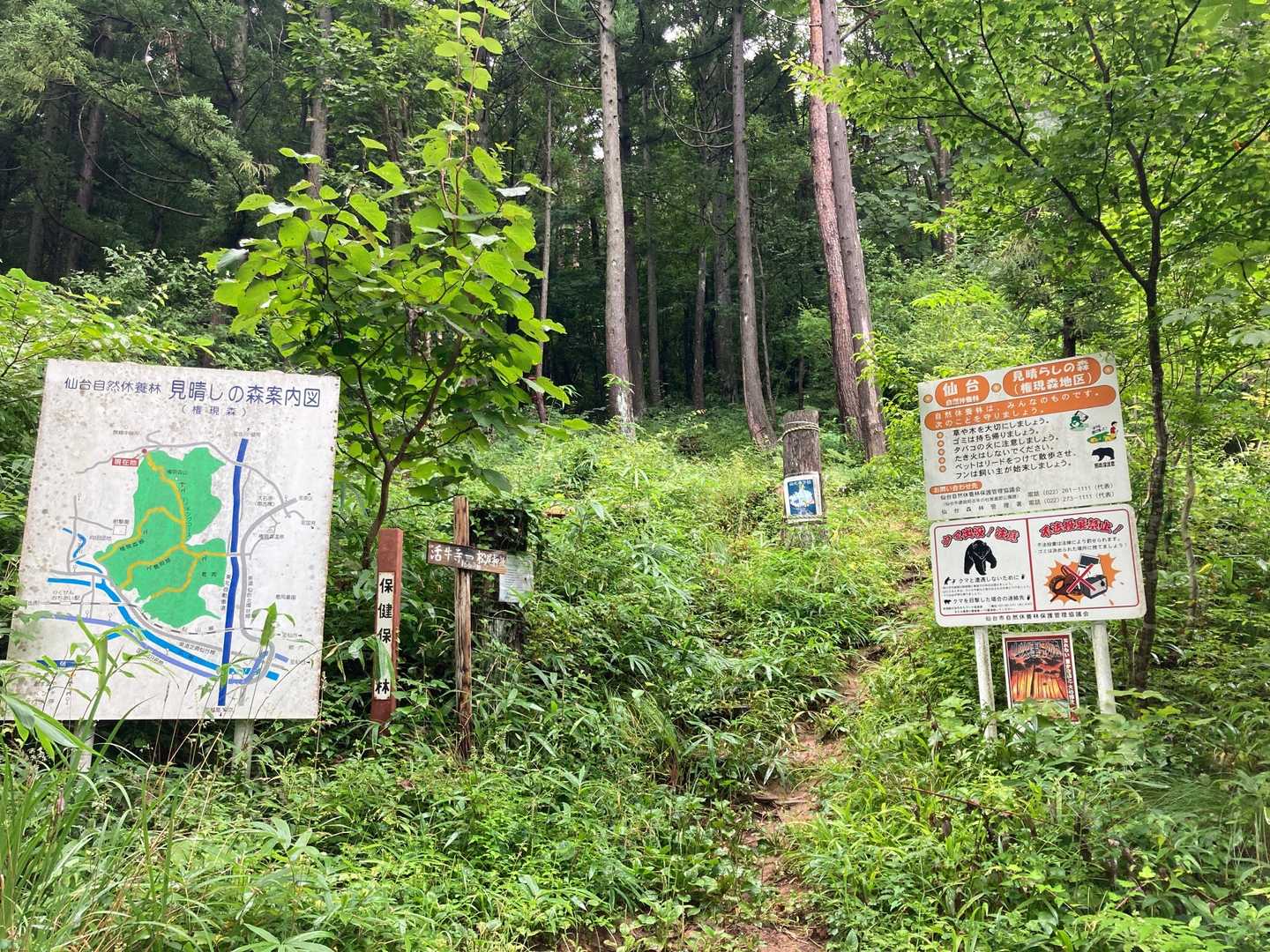 こちらが分かりやすいと優しい住人の方に教わったので、今日のスタートはここから😆
「熊もいるから危ないよ」と言われましたが、しっかり熊スプレーと熊鈴も持ちました😉👍