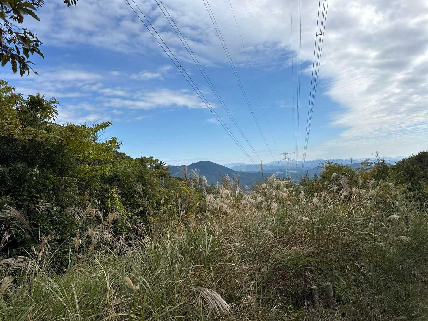 山頂からの展望