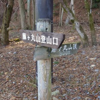 さぁ最後に藤ヶ丸山まで行きましょうかね😅