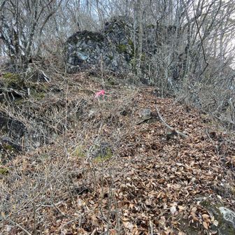どこが登山道？という感じが延々続く