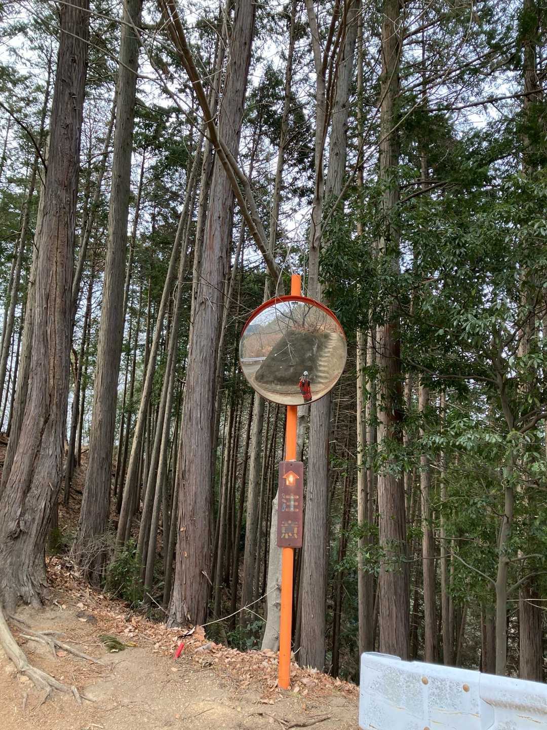 登山道から一度おりた道路にあるカーブミラー