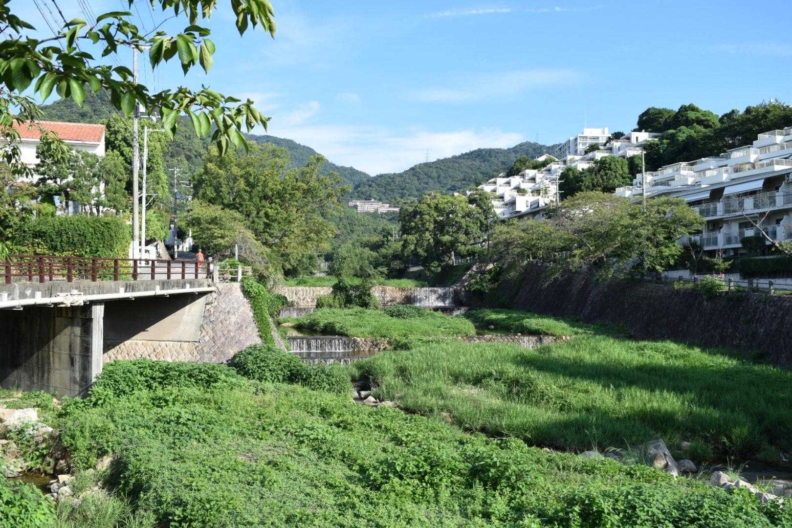 芦屋川沿いの閑静な住宅街の坂道をひたすら
