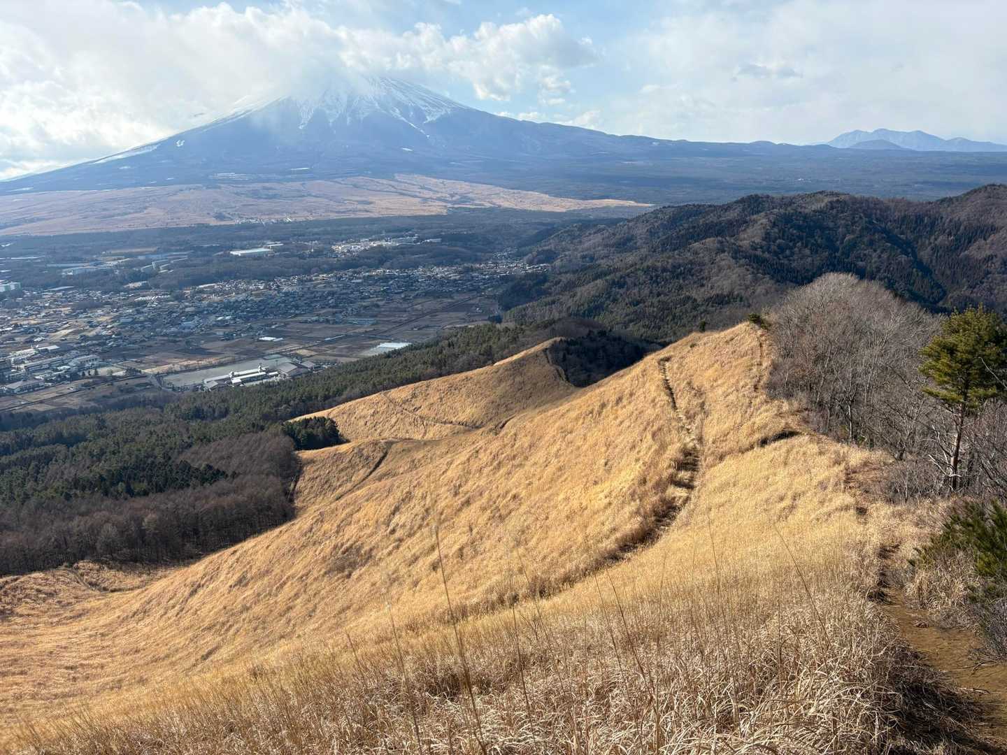 素晴らしい開放感
ススキで覆われた山肌は異世界のよう
