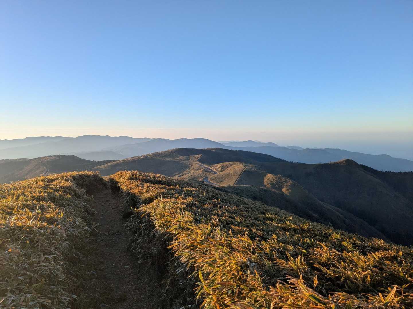 戸田峠-小達磨山-達磨山-古稀山-伽藍山 往復コースの写真