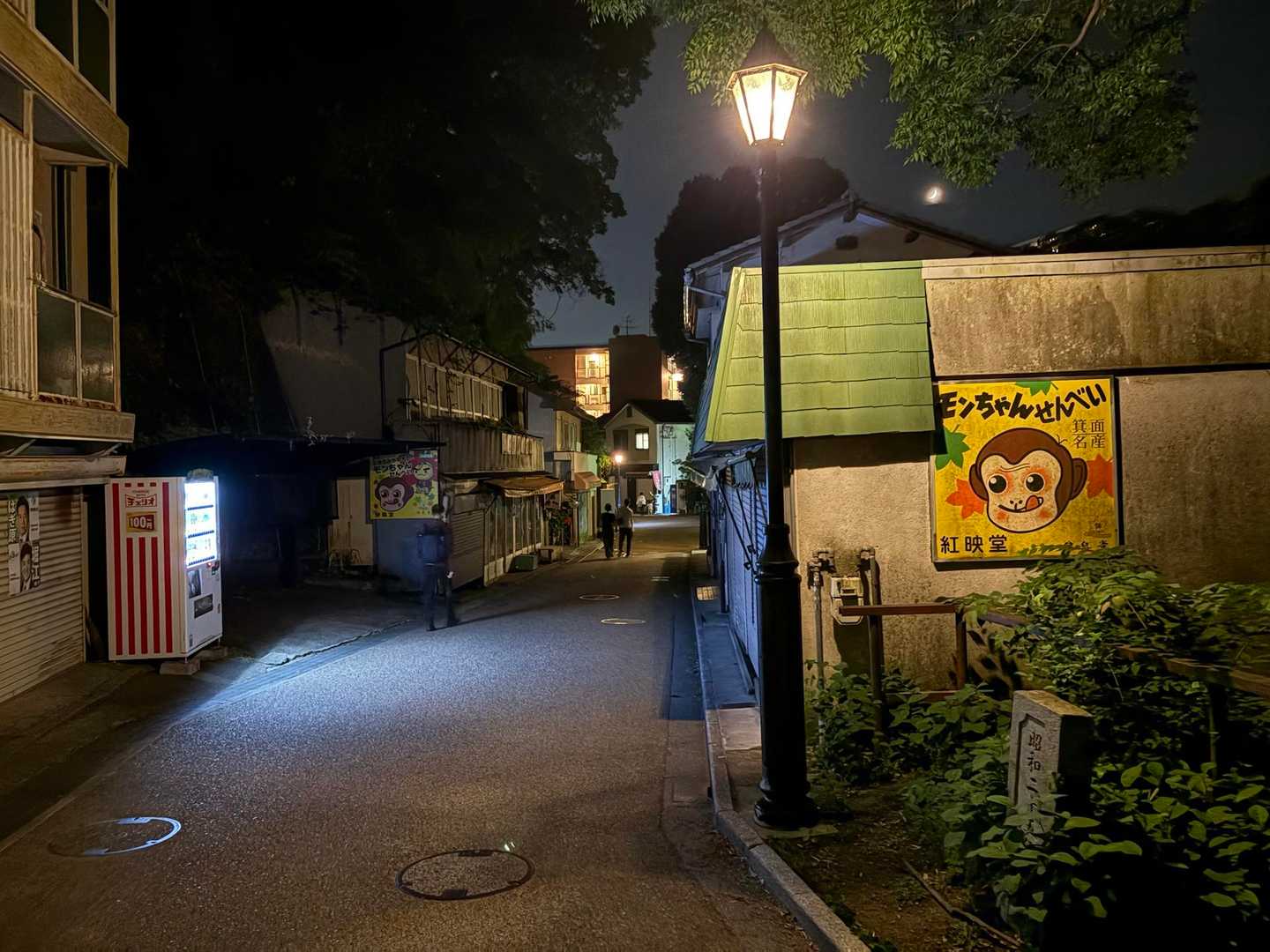 週末の金曜日。仕事疲れが残ったままの夜活🌃でしたが、ホタルに癒されて吹っ飛びました😊