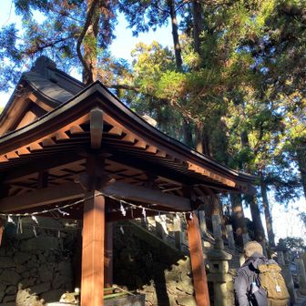 ⛩️は賑わってました〜！