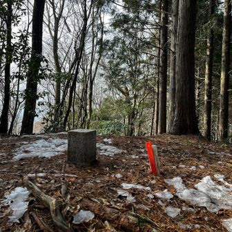 残念ながら景色はスキマからのみ