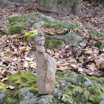 このバランス😲崩れないようにそーっと歩きますよ