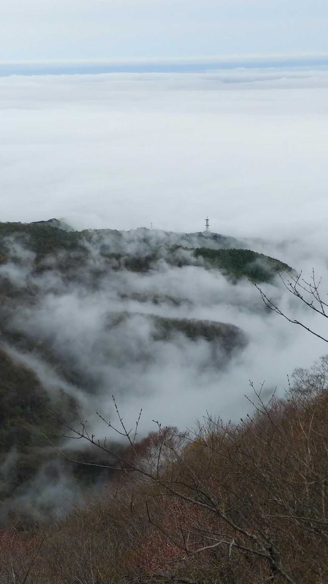 鍋割山登山口-鍋割山-火起山-荒山 往復コースの写真