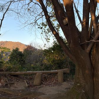 眺望は期待してなかったけど
原岳から雄岳見えるんだなぁ