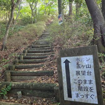 階段上がれば五ヶ山💪