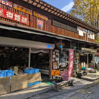 開店していて観光客も