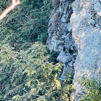 そう言えば...
風雷尾根には探し続けているものがあったなぁ
それは”鬼面岩“
過去探し続けること数回も未だ見つからず(泣)
でもこれじゃないよなぁ...