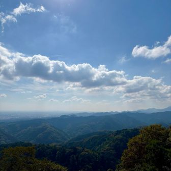 日差しが強く、暑いくらいでした