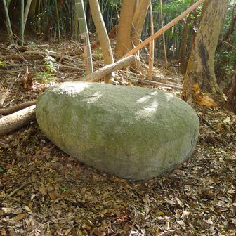 府殿山ルートでまんじゅう岩まで戻ってきました。ここから今度は貫方面に抜けるルートがあるようなので行ってみます。