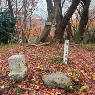三角点はこっち⛰️
一度下山して再度、登ってきます