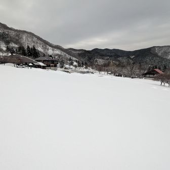 さ、登山口をすぎて
ゴールはあちら…
ということは最後はここから直で行くしか☺️