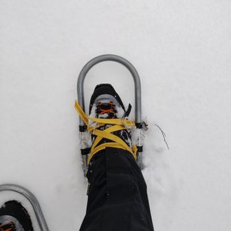 今日はワカンで😆