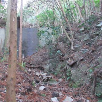 堰堤の下を通って行く。午後から登ったので時間がない。帰りは道のある沢を下る