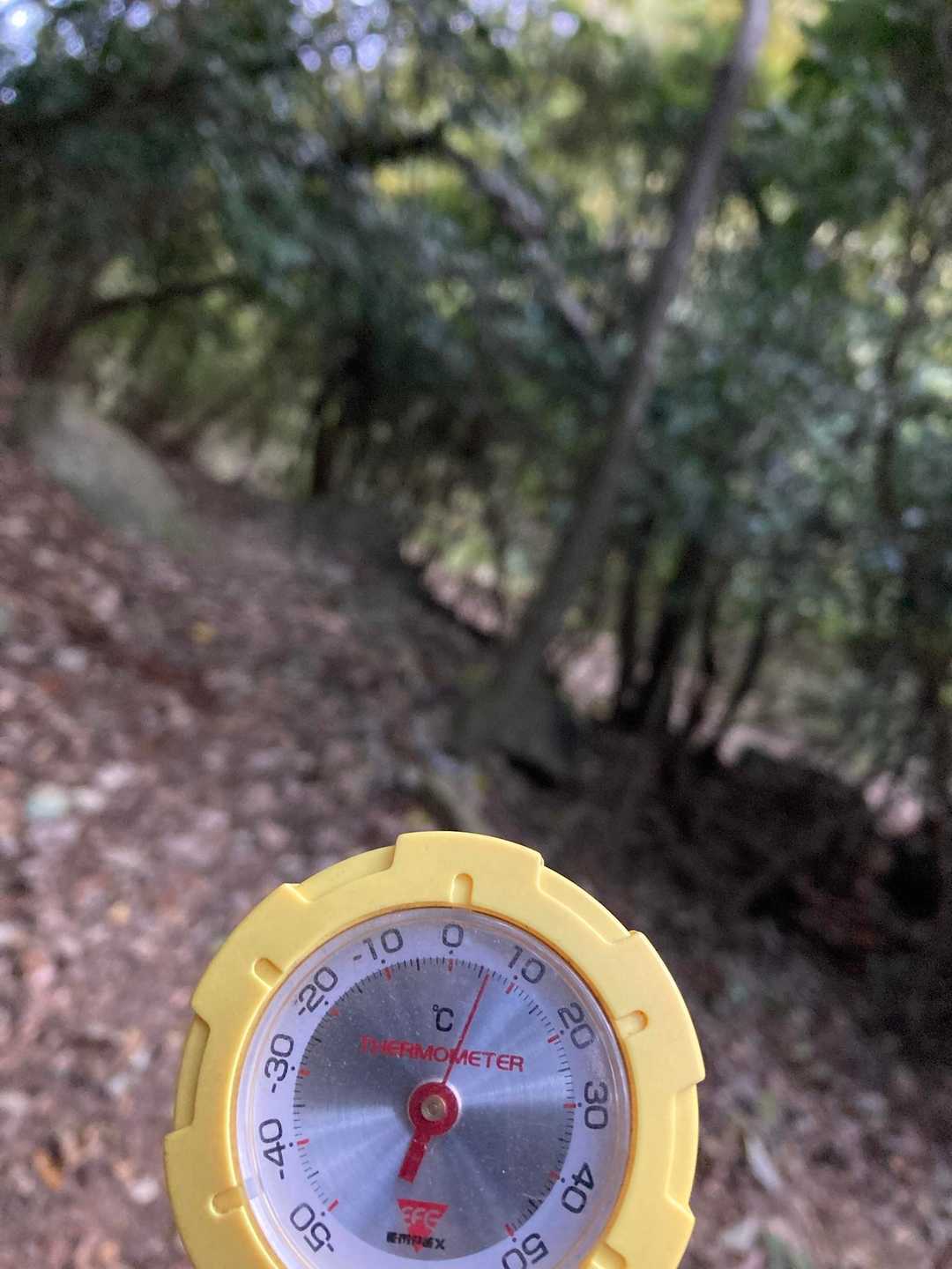 気温6℃
まだ緩やかに登っていく